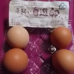 卵を食べるならゲージ飼いより平飼い卵。自然のエサと自由な環境で育って産んだ卵を食べるべき。